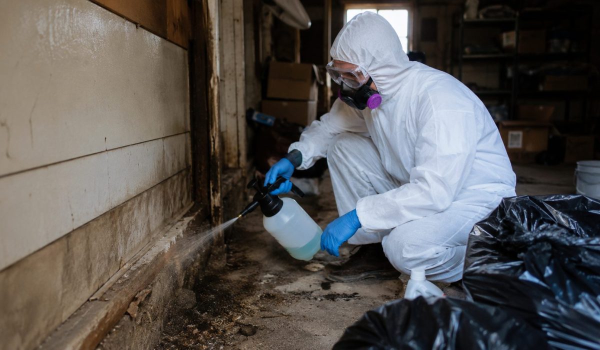 Professionnel en combinaison de protection réalisant une désinfection hantavirus dans un local contaminé par des rongeurs